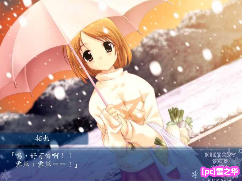 PULLTOP(易拉罐Gal)游戏-雪之华【PC/1.3G】下载地址_copy