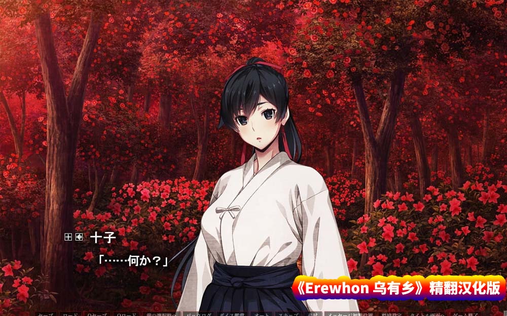 [黑暗ADV游戏]Erewhon 乌有乡 精翻汉化版+全CG存档[全CV/百度网盘下载]