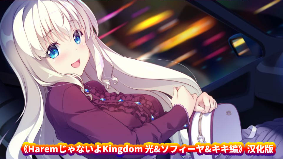 [ADV/Galgame] HaremじゃないよKingdom 光&ソフィーヤ&キキ編 AI汉化[百度网盘]