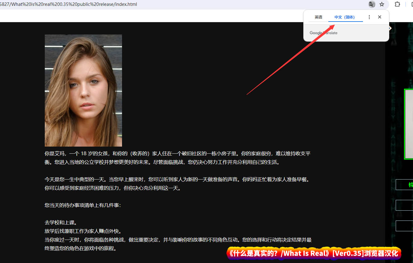 【现实真人/HTML/浏览器汉化】什么是真实的？/What Is Real[Ver0.35]【PC/百度网盘直链】