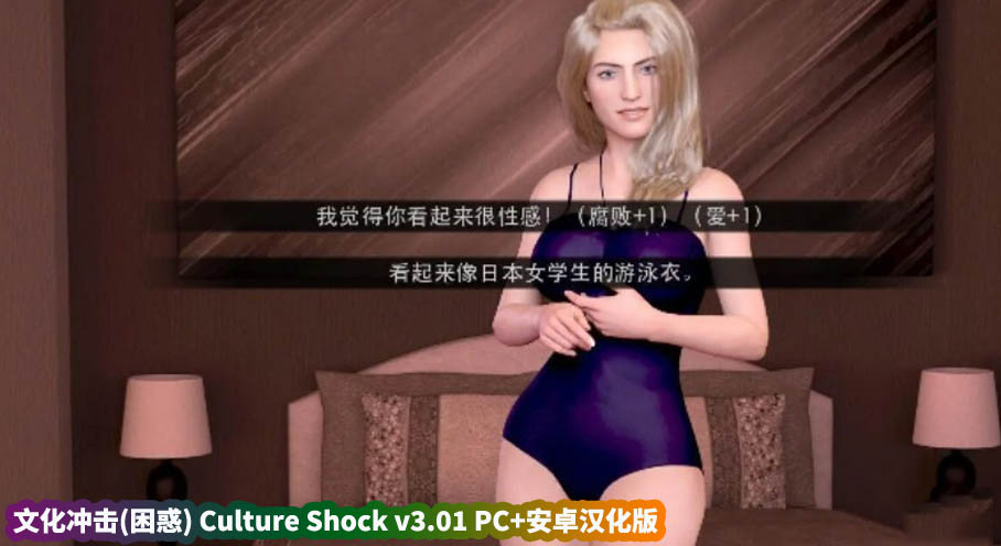 [SLG/汉化/动态] 文化冲击(困惑) Culture Shock v3.01 PC+安卓汉化版 [微云直连]