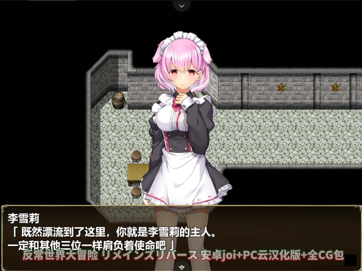 [RPG/汉化/全CV]反常世界大冒险 安卓joi+PC云汉化版+全CG包[网盘下载]