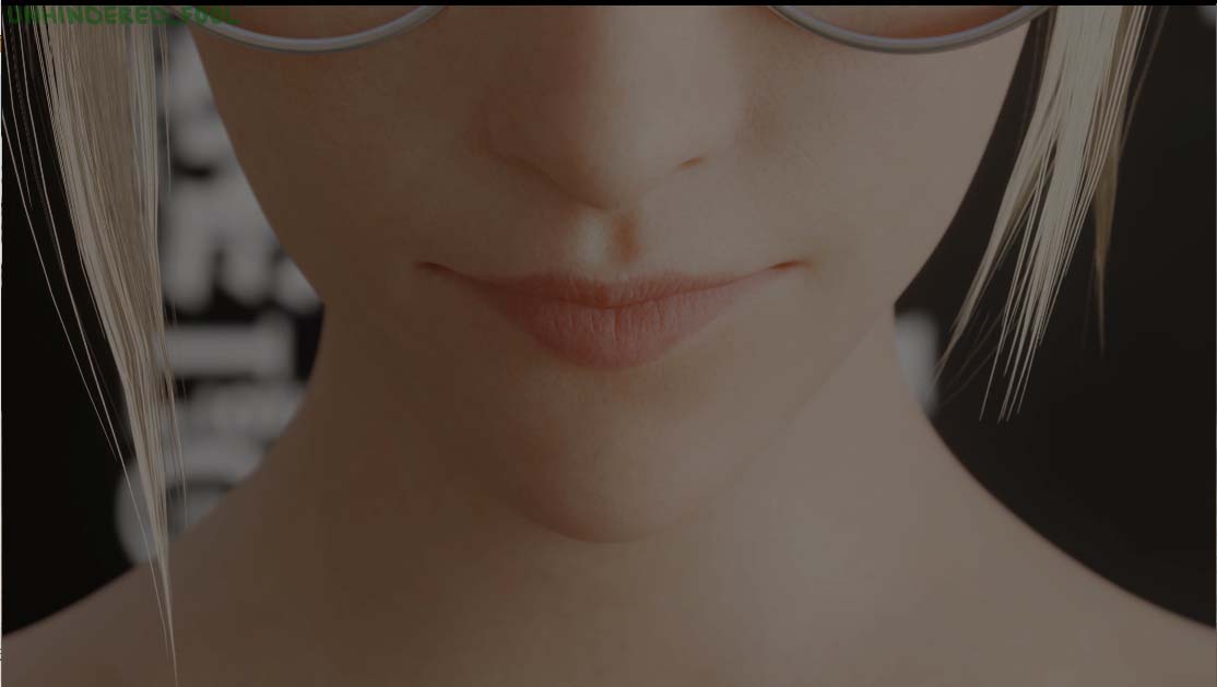 [3D同人] Unhindered Fool师 2024年9月更新整合守望先锋 [百度网盘]