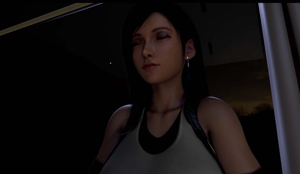 [3D同人动画] Rogowski大师：2024年9月更新整合FF7 [7.1G/百度网盘]