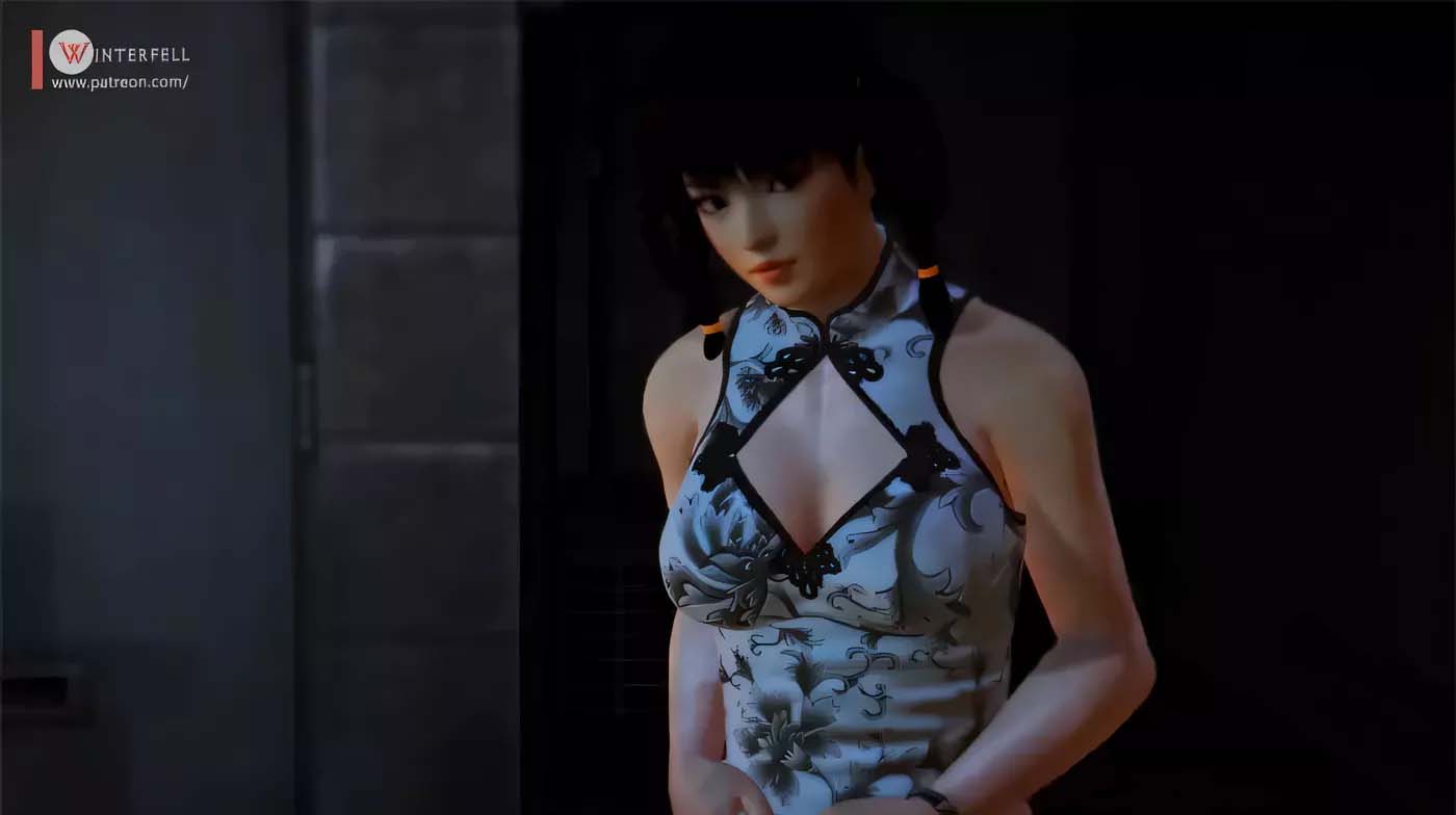 [2B/三国/DOA/生化动画] 国人制作组-AWSL3D：高质量资源大合集[百度网盘]