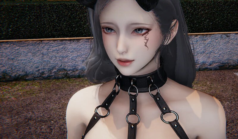  [SLG/3D动态]宠物捕捉系统[Ver3.0][PC+安卓官中/2.8G]