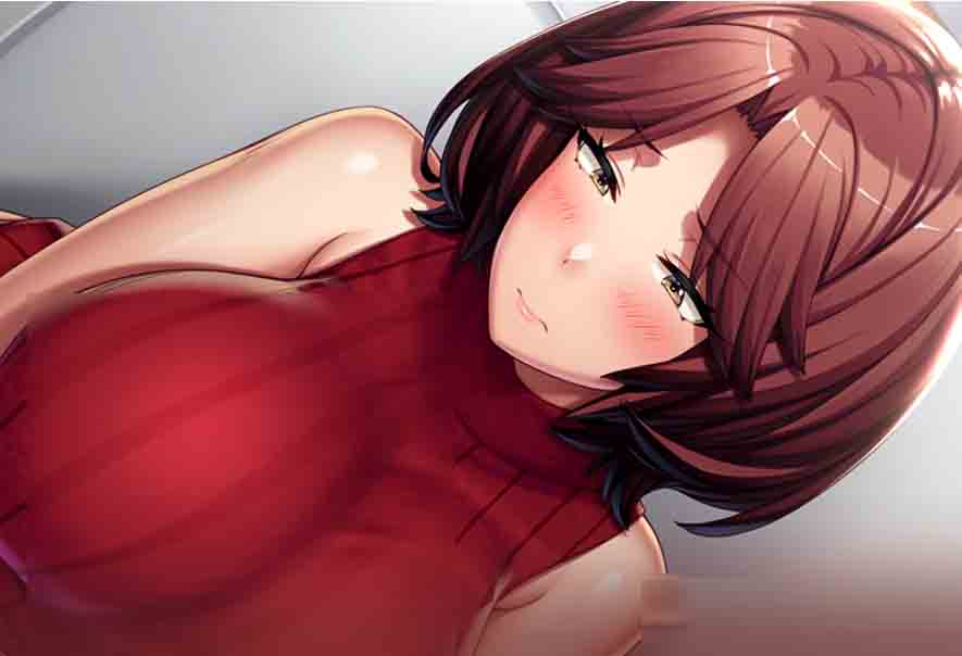 [日式ADV] 完全堕落X兄嫂都是你的错！完堕ちX兄嫁 アンタのせいよ！汉化版+特典+全CG存档 [4G]