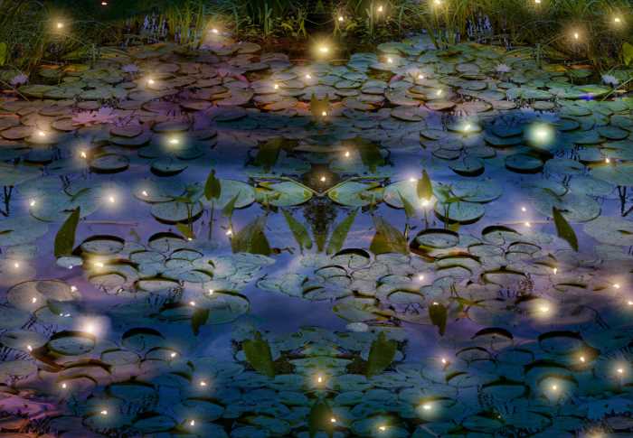 如何写鞋子文案广告