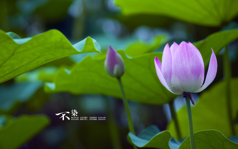 孩子说她没有错，小米14发布价格