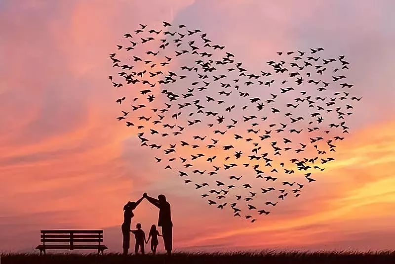 饮食健康食谱菜谱美食减肥