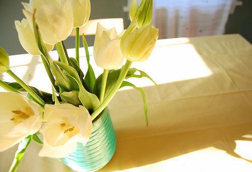 健康中秋饮食食谱