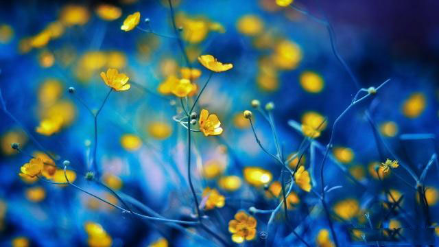 秋季健康饮食食谱小孩，疫情心理健康知识题目