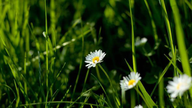白领养生小知识文案素材
