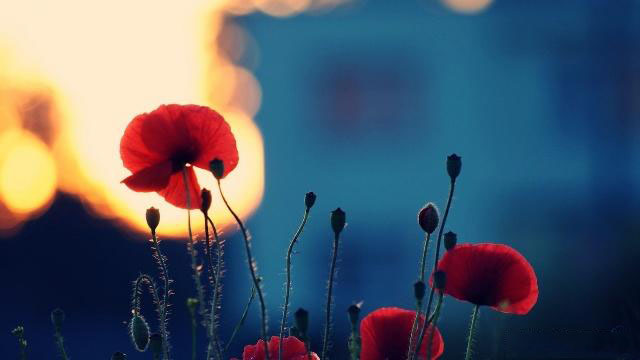 护工心理健康知识