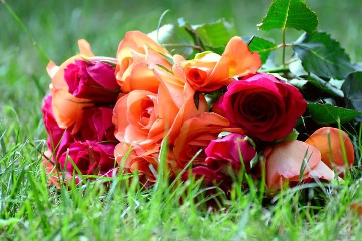 物业夏季养生小知识大全，最新健康养生知识小知识