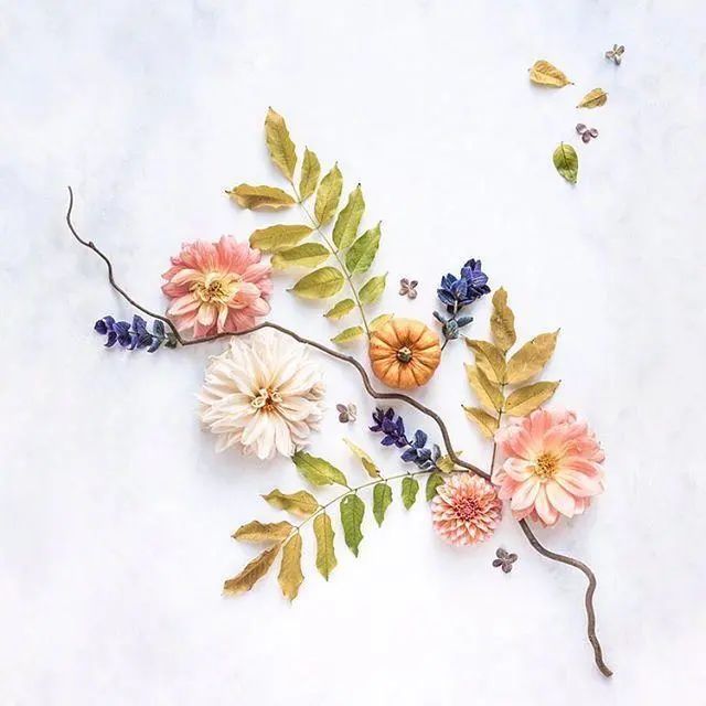 女孩心理健康小知识，健康饮食瘦子食谱大全视频