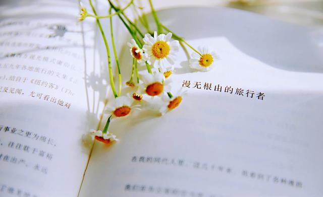 防疫知识与心理健康的感受，张勇养生小知识