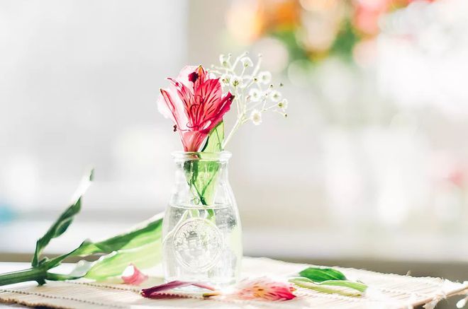 刘雯饮食健康食谱视频下载