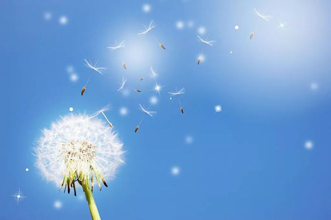 工人心理健康教育知识