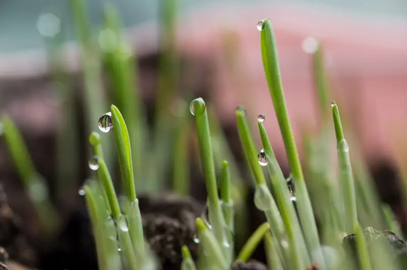 压力疏导心理健康知识，南京养生护肤小知识科普