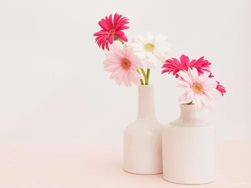 欧洲健康饮食食谱，按摩养生小知识简短点