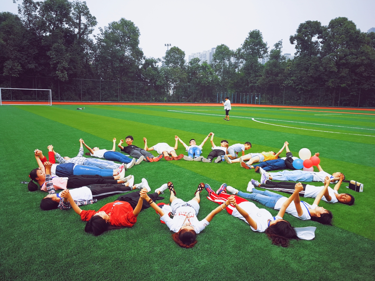 健康饮食猫咪食谱大全视频