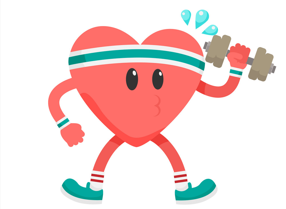 office办公室软件教程，可编程解码和编码基础知识